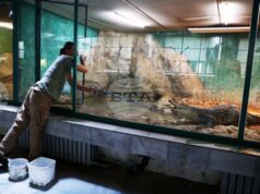 Зоологическата градина в София няма да работи от 1 до 4 януари