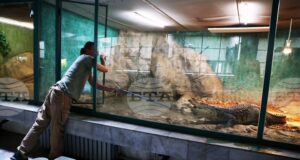 Зоологическата градина в София няма да работи от 1 до 4 януари