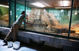 Зоологическата градина в София няма да работи от 1 до 4 януари