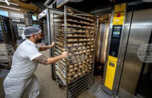 Източногерманците работят по-често по Коледа от западногерманците, сочи проучване