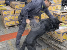 Италианската полиция обяви, че е заловила 435 кг кокаин на стойност 70 млн. евро