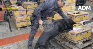 Италианската полиция обяви, че е заловила 435 кг кокаин на стойност 70 млн. евро