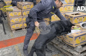 Италианската полиция обяви, че е заловила 435 кг кокаин на стойност 70 млн. евро