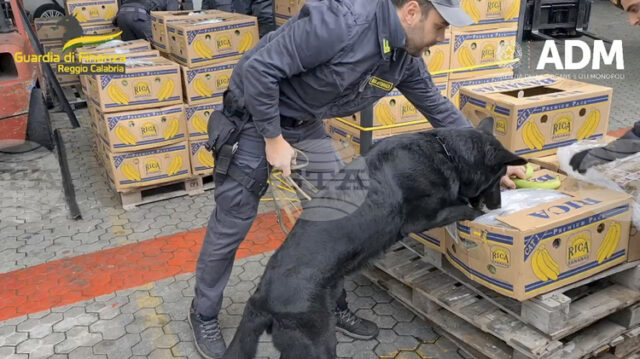 Италианската полиция обяви, че е заловила 435 кг кокаин на стойност 70 млн. евро