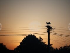 КЕВР определи компенсациите за ноември за покриване на част от разходите на битовите крайни клиенти за електричество