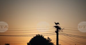 КЕВР определи компенсациите за ноември за покриване на част от разходите на битовите крайни клиенти за електричество