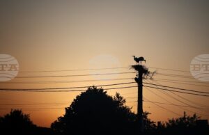 КЕВР определи компенсациите за ноември за покриване на част от разходите на битовите крайни клиенти за електричество