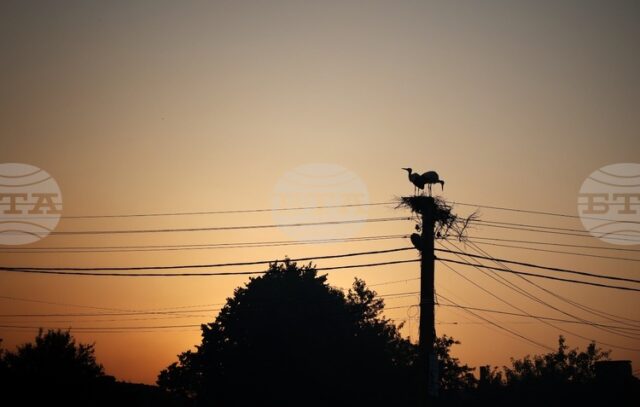 КЕВР определи компенсациите за ноември за покриване на част от разходите на битовите крайни клиенти за електричество