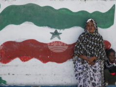 Лидерът на йеменските бунтовници хуси предупреди, че всяко израелско присъствие в Сомалиленд ще бъде считано за военна цел