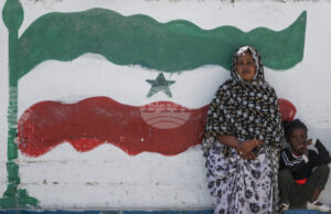 Лидерът на йеменските бунтовници хуси предупреди, че всяко израелско присъствие в Сомалиленд ще бъде считано за военна цел