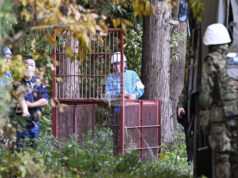 Мечки нарушават дейността на 30 на сто от компаниите в Североизточна Япония, сочи проучване Мечки нарушават дейността на 30 на сто от компаниите в Североизточна Япония, сочи проучване