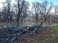 На общо 159 сигнала в цялата страна са реагирали екипите на пожарната заради силния вятър