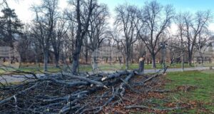 На общо 159 сигнала в цялата страна са реагирали екипите на пожарната заради силния вятър