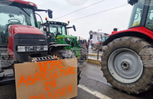 Над 10 000 фермери от цяла Европа се очаква да излязат на протест в Брюксел, за да подчертаят дълбочината на кризата, пред която е изправен секторът