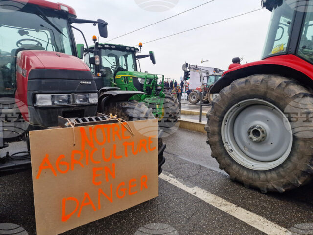 Над 10 000 фермери от цяла Европа се очаква да Над 10 000 фермери от цяла Европа се очаква да излязат на протест в Брюксел, за да подчертаят дълбочината на кризата, пред която е изправен секторът