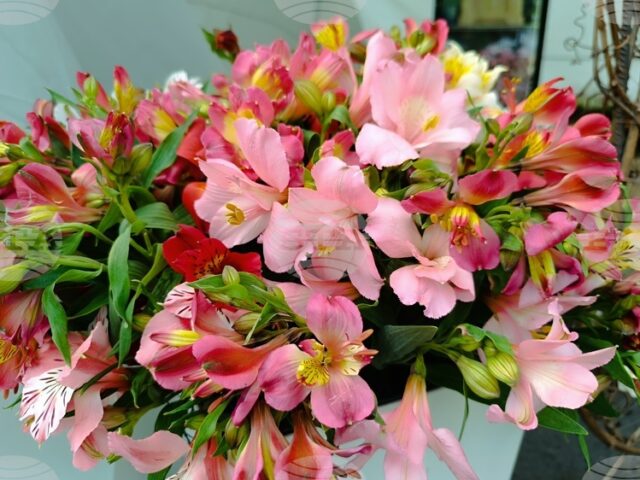 Над 2500 казанлъчани отбелязват своя имен ден на Стефановден