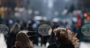 Няма пострадали хора и населени места без електричество на територията на Столичната община заради силния вятър, съобщиха от "Аварийна помощ и превенция"