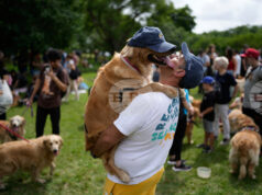 Повече от 2000 кучета от породата „Голдън ретривър" се събраха в парк в Аржентина, поставяйки неофициален световен рекорд