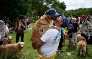 Повече от 2000 кучета от породата „Голдън ретривър“ се събраха в парк в Аржентина, поставяйки неофициален световен рекорд Повече от 2000 кучета от породата „Голдън ретривър" се събраха в парк в Аржентина, поставяйки неофициален световен рекорд