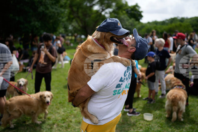 Повече от 2000 кучета от породата „Голдън ретривър" се събраха Повече от 2000 кучета от породата „Голдън ретривър" се събраха в парк в Аржентина, поставяйки неофициален световен рекорд
