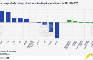 С 3 на сто са се повишили цените на селскостопанските продукти в ЕС през 2025 г., сочат данни на Евростат