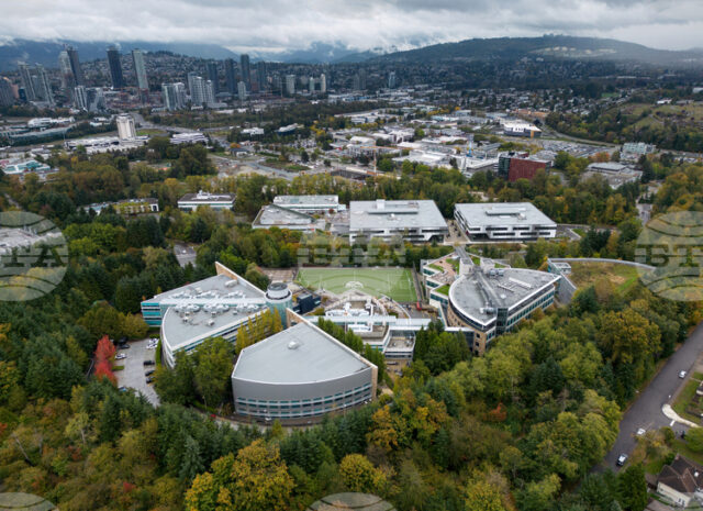 Сливания и придобивания: Как 2025 г. пренареди глобалния бизнес