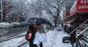 Стотици полети бяха отменени, след като зимна буря с обилни снеговалежи връхлетя Ню Йорк и някои от североизточните щати на САЩ