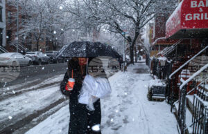 Стотици полети бяха отменени, след като зимна буря с обилни снеговалежи връхлетя Ню Йорк и някои от североизточните щати на САЩ