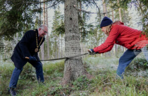 Традицията коледната елха на площад Трафалгар в Лондон да идва от Норвегия е установена още през 1947 година
