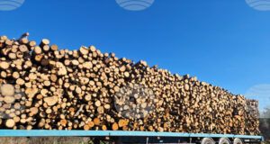 В седмицата между Коледа и Нова година търговията на Софийската стокова борса беше предимно на енергоносители