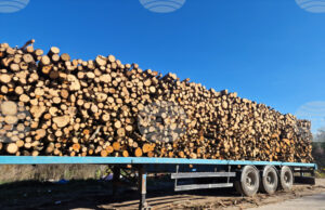 В седмицата между Коледа и Нова година търговията на Софийската стокова борса беше предимно на енергоносители