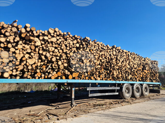 В седмицата между Коледа и Нова година търговията на Софийската стокова борса беше предимно на енергоносители