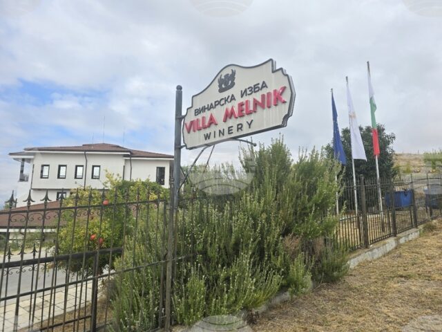 Винарска изба "Вила Мелник" ще отбележи празника на лозарите и винопроизводителите с празнична програма