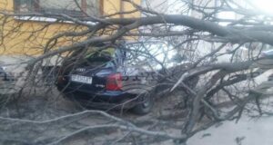 Във Враца от няколко часа духа ураганен вятър с пориви със скорост над 120 км/ч, има сериозни щети, съобщи кметът Калин Каменов