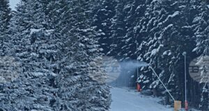 В е ветровито,