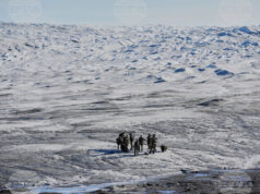 Гренландия