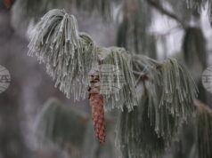 Жълт код за ниски температури е обявен за днес в 14 области в страната