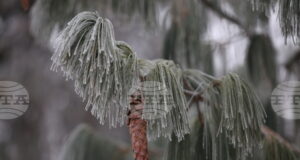 Жълт код за ниски температури е обявен за днес в 14 области в страната