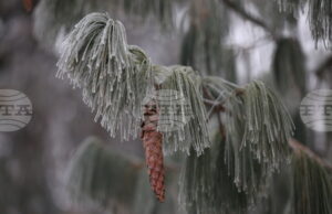 Жълт код за ниски температури е обявен за днес в 14 области в страната