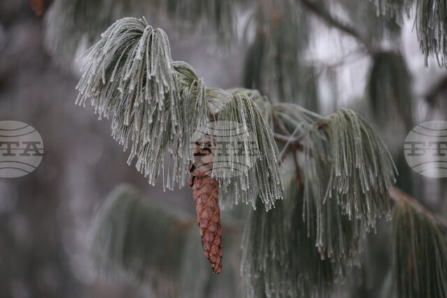 Жълт код за ниски температури е обявен за днес в 14 области в страната