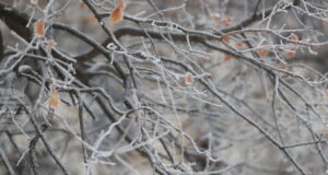 Жълт код за ниски температури е обявен за утре в 14 области в страната