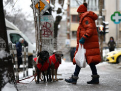 Жълт код за студено време е обявен за днес в цялата страна