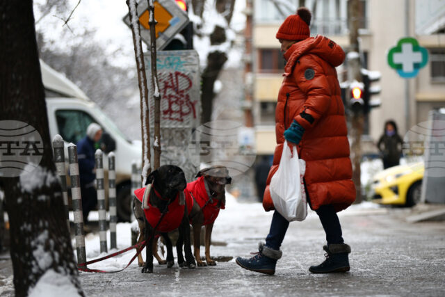 Жълт код за студено време е обявен за днес в цялата страна