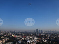 Земетресение с магнитуд 4,9 разлюля мексиканския щат Гереро