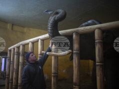 Зоопаркът в Киев се мъчи да осигури топлина за животните на фона на енергийна криза и минусови температури