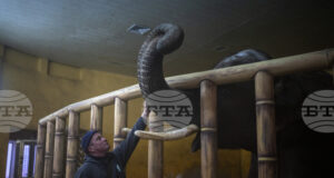 Зоопаркът в Киев се мъчи да осигури топлина за животните на фона на енергийна криза и минусови температури