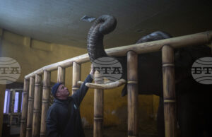 Зоопаркът в Киев се мъчи да осигури топлина за животните на фона на енергийна криза и минусови температури Зоопаркът в Киев се мъчи да осигури топлина за животните на фона на енергийна криза и минусови температури