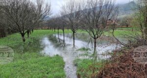 Избягвайте дерета и реки и не стойте на открито, съветват от пожарната във връзка с предупреждението за влошаването на времето