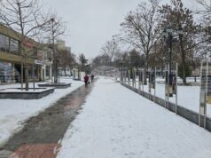 Машинен оператор, специалист по металорежещи машини и стругар са част от свободните работни места на Бюрото по труда в Козлодуй