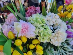 Над 3500 старозагорци празнуват имен ден днес на Богоявление